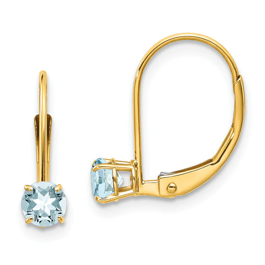 14K Gold Aquamarine March Earrings